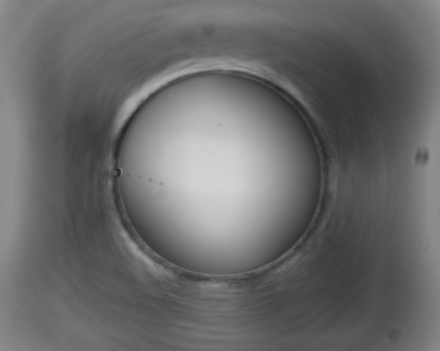 X0000112851508200908281551