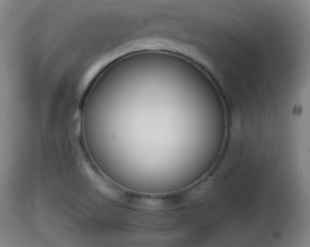 X0000112851509200908281551