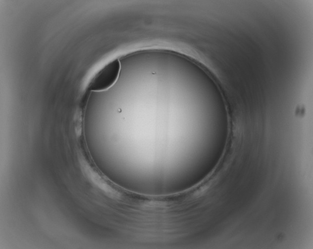 X0000112851510200908281551