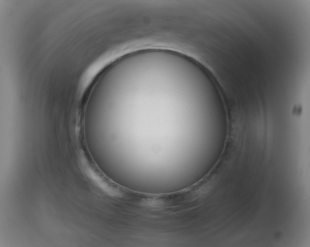 X0000112851511200908281551