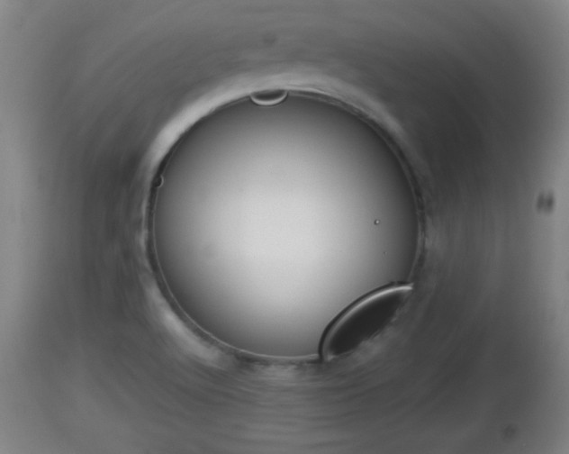 X0000112851512200908281551
