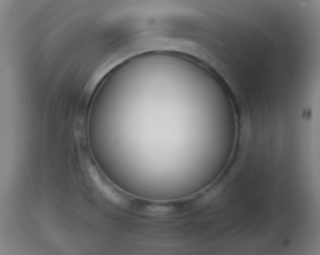 X0000112851513200908281551