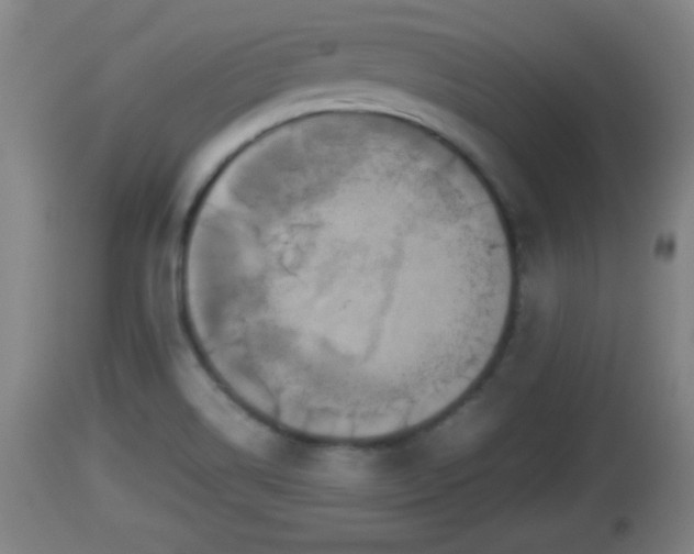 X0000112851514200908281551