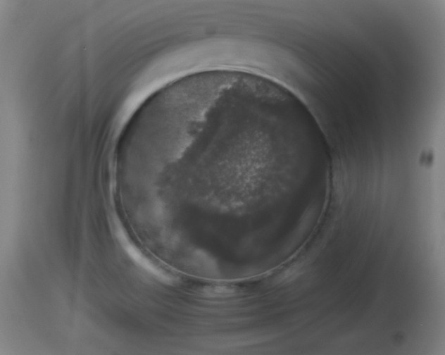 X0000112851515200908281551