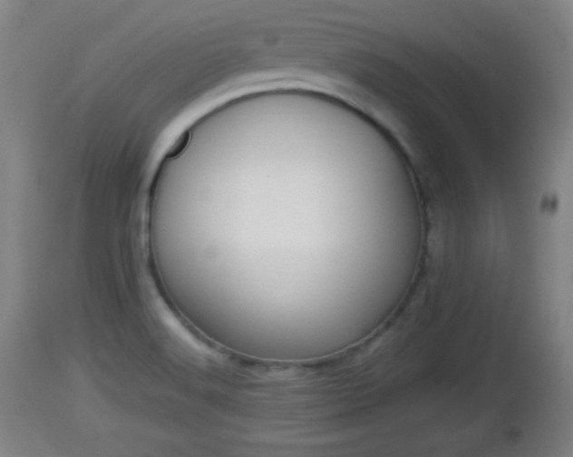 X0000112851516200908281551