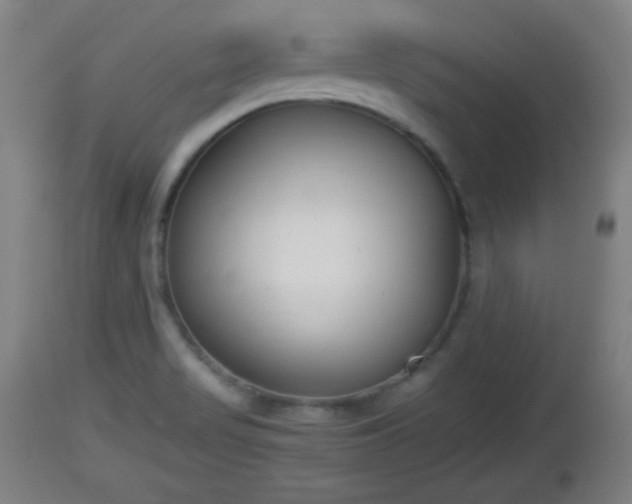 X0000112851517200908281551