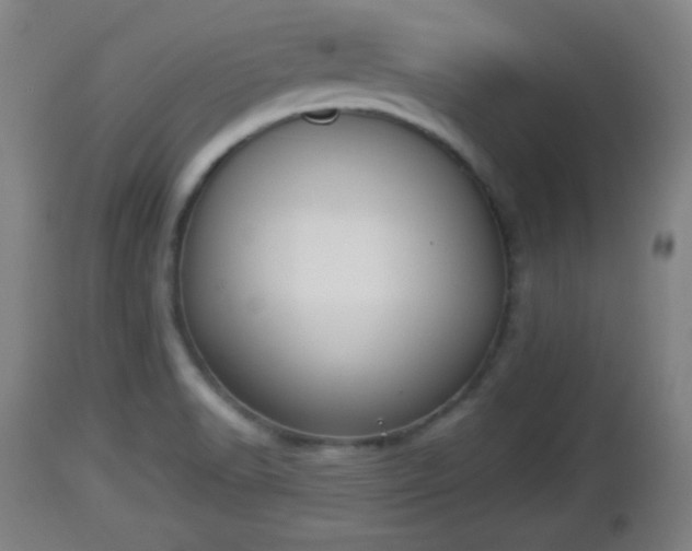 X0000112851518200908281551