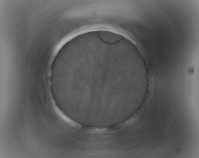X0000112851519200908281551