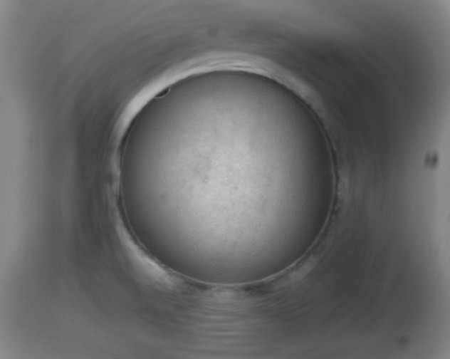 X0000112851520200908281551