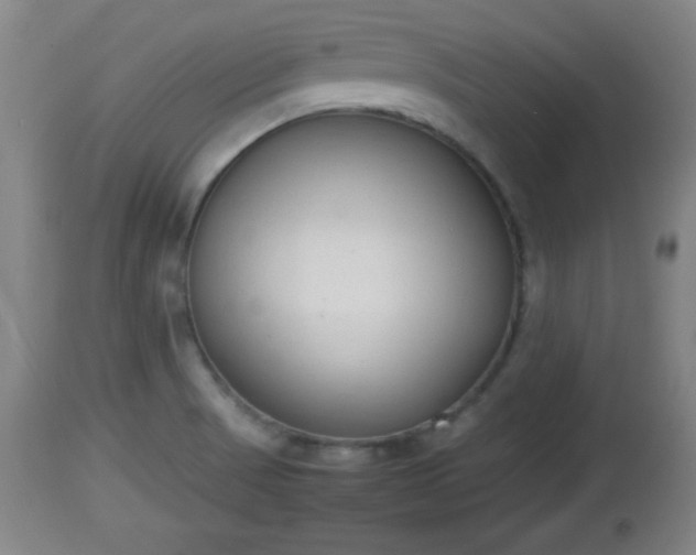 X0000112851521200908281551