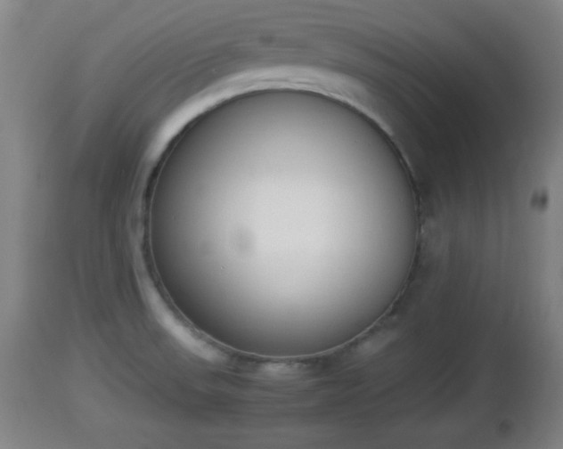 X0000112851523200908281551