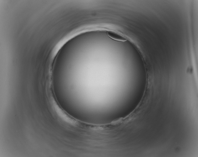 X0000112851524200908281551