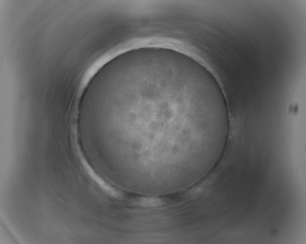X0000112851525200908281551