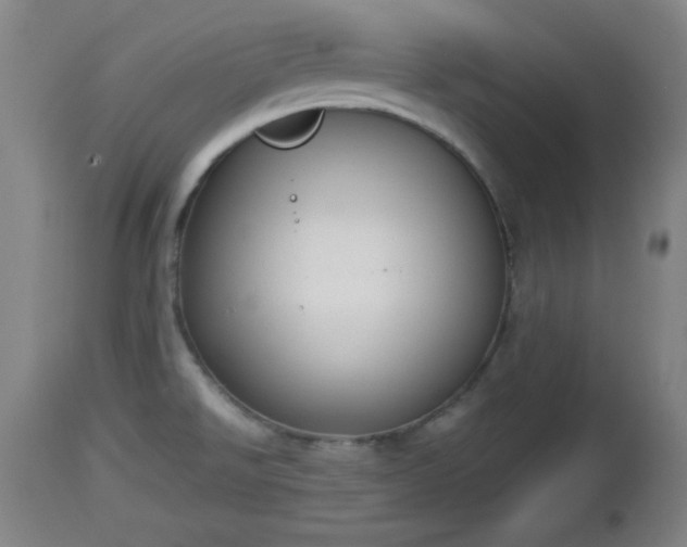 X0000112851526200908281551