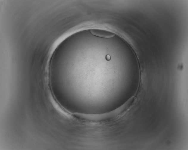 X0000112851528200908281551