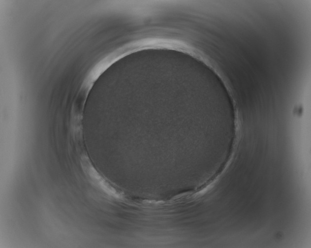 X0000112851529200908281551