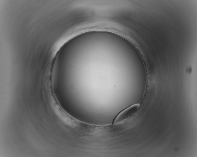 X0000112851530200908281551