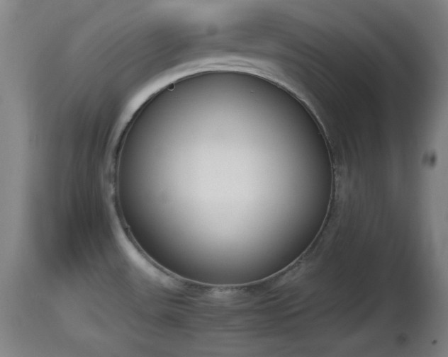 X0000112851531200908281551