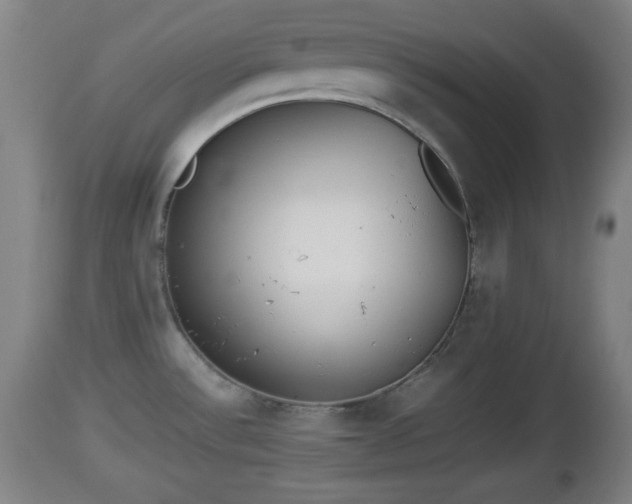 X0000112851532200908281551
