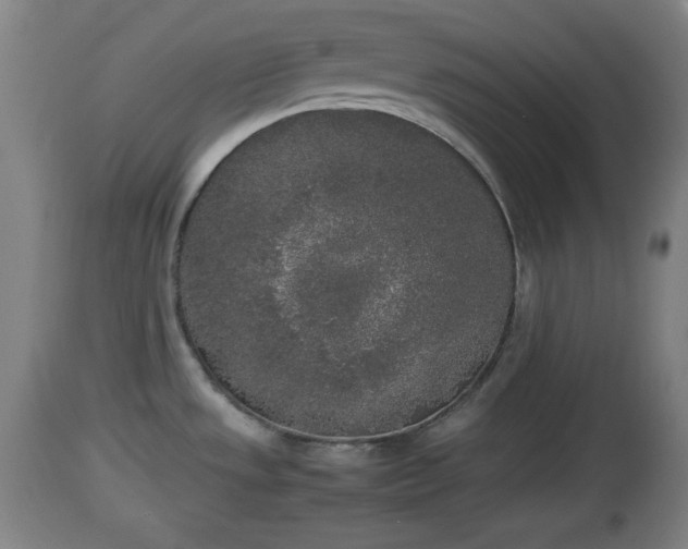 X0000112851533200908281551