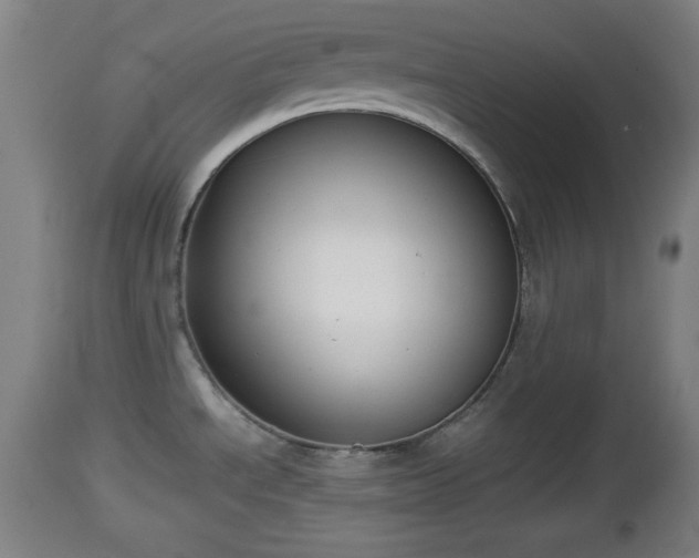 X0000112851534200908281551