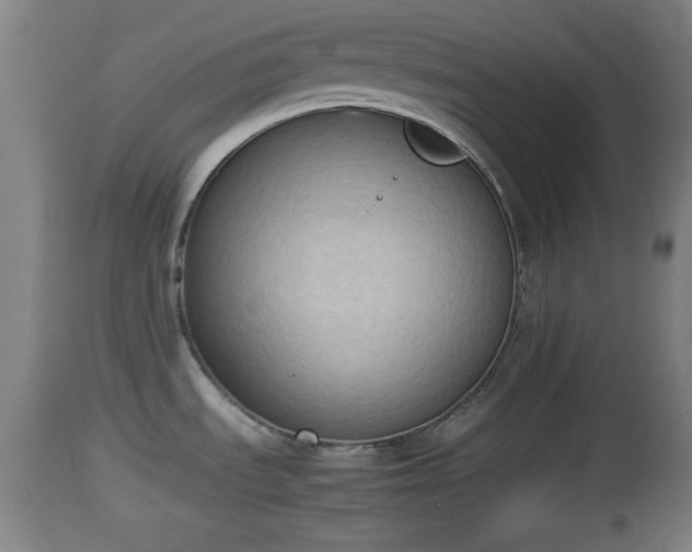 X0000112851535200908281551
