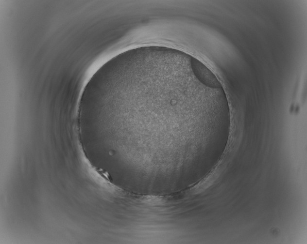 X0000112851536200908281551