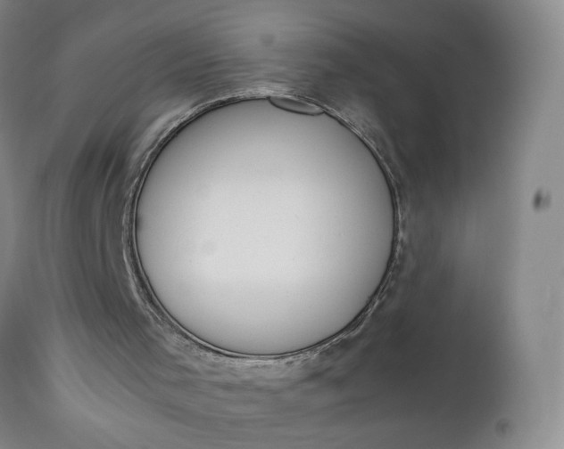 X0000112850001200909041540