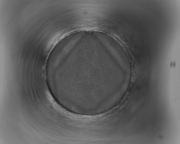 X0000112850002200909041540