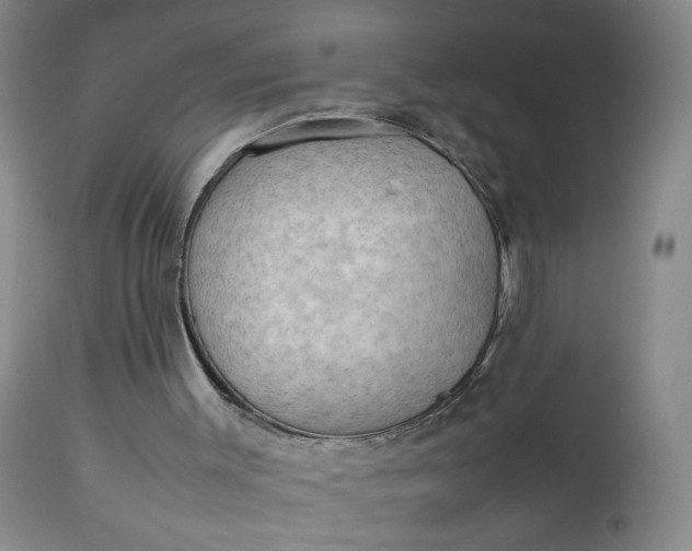 X0000112850003200909041540