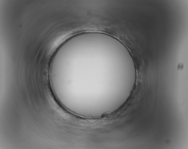 X0000112850005200909041540