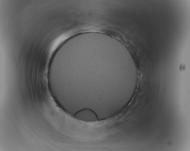 X0000112850006200909041540