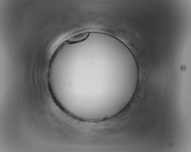 X0000112850007200909041540