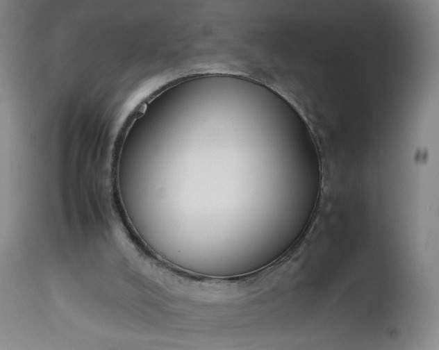 X0000112850008200909041540