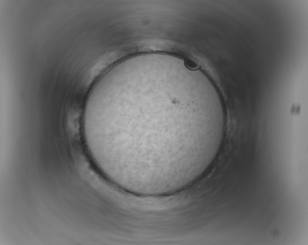 X0000112850010200909041540