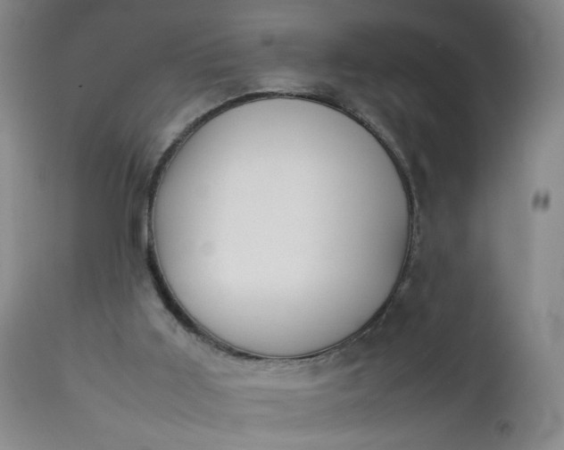 X0000112850011200909041540