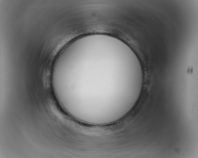 X0000112850012200909041540