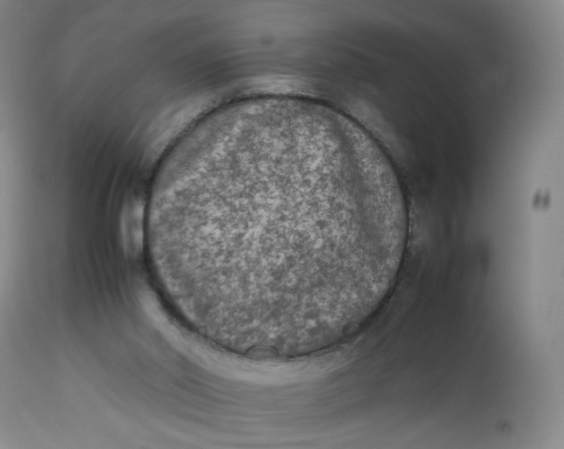 X0000112850014200909041540