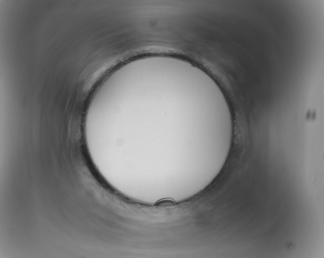 X0000112850015200909041540