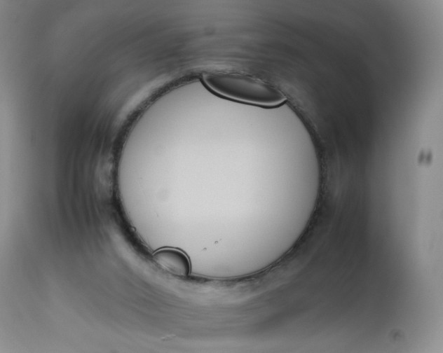 X0000112850016200909041540