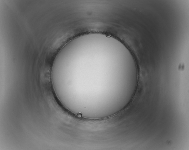 X0000112850017200909041540