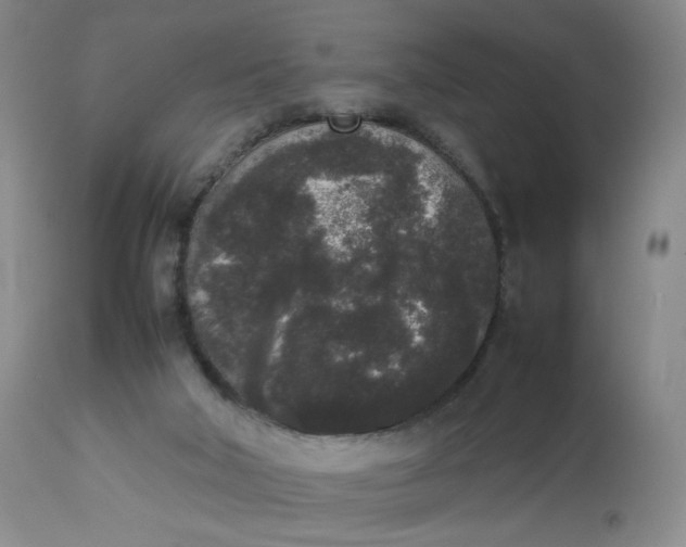 X0000112850018200909041540