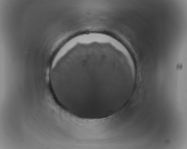 X0000112850019200909041540