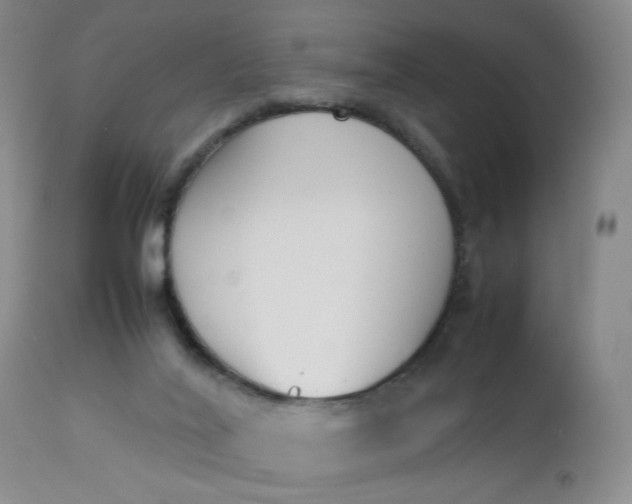 X0000112850020200909041540