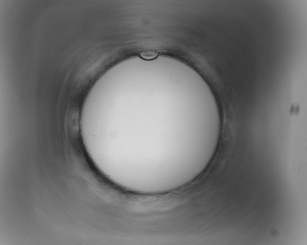 X0000112850021200909041540