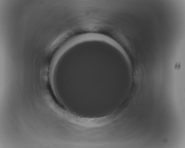 X0000112850023200909041540