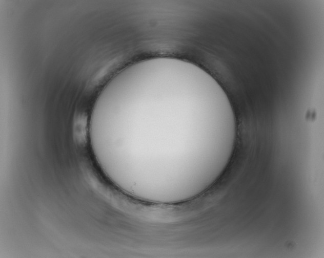 X0000112850024200909041540