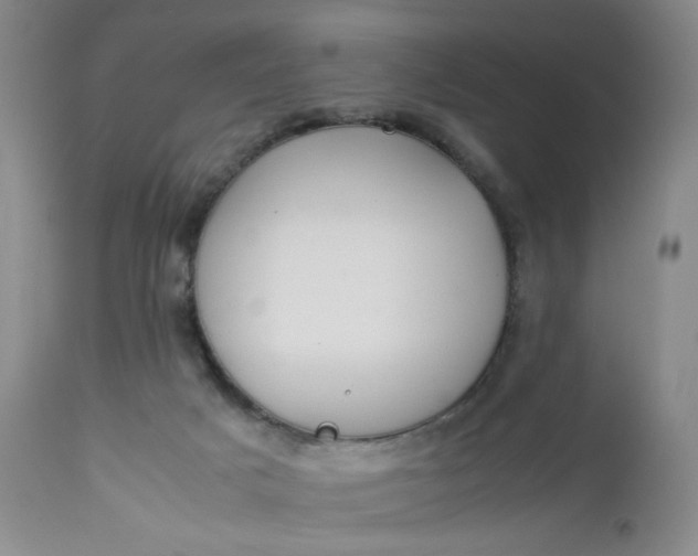 X0000112850025200909041540