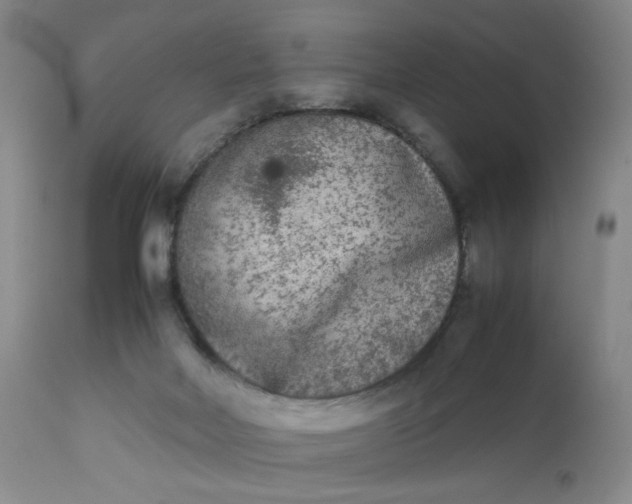 X0000112850026200909041540