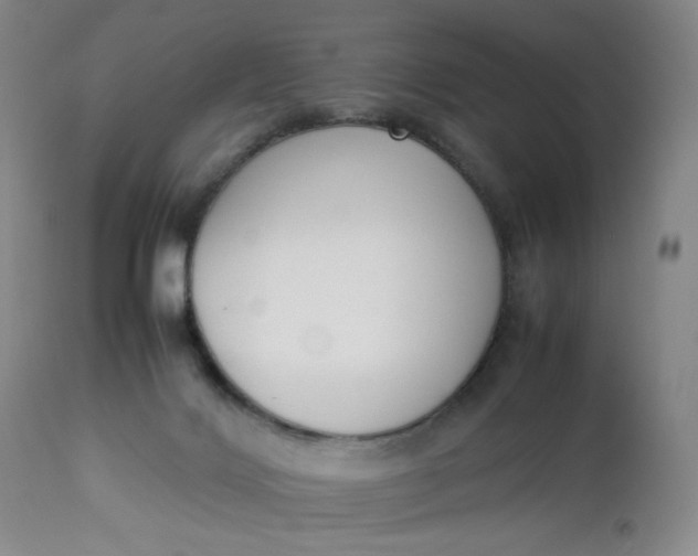 X0000112850028200909041540